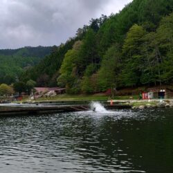 ＧＷ後の平谷湖フィッシングスポットで爆釣！